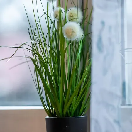 Karola Miarki شقة