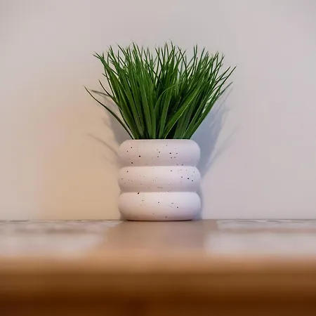 شقة Karola Miarki غليفيتسه